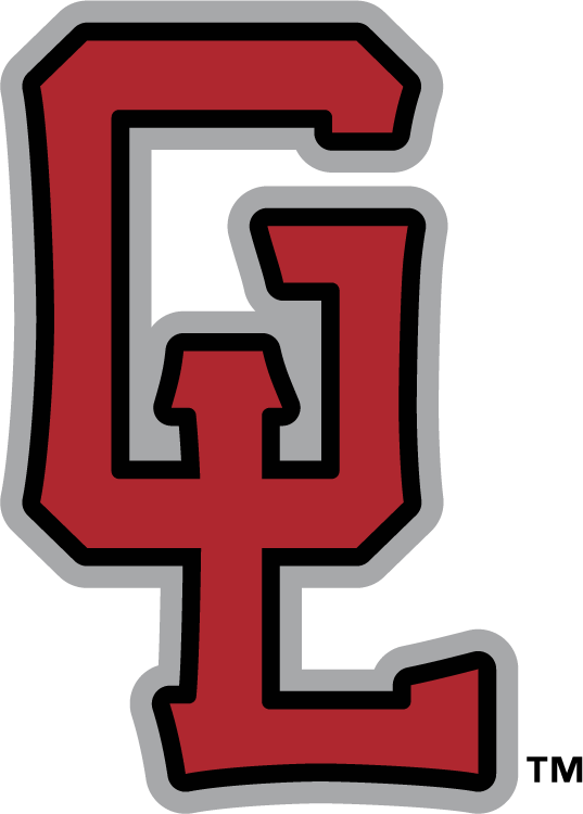 Great Lakes Loons 2016-Pres Alternate Logo v5 iron on heat transfer